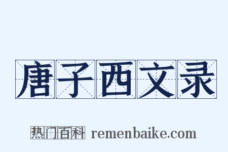 唐子西文录是什么意思的图片